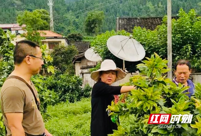 MK体育官网