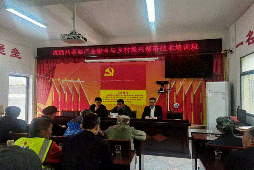 MK体育官网